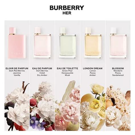 burberry her probe|burberry her peony scent.